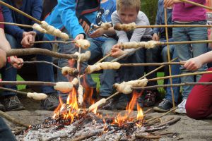 Frühling 2014