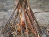 DSCN3518