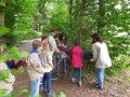 DSCN5207.JPG