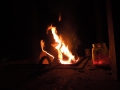 DSCN5473