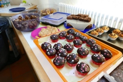 IMG-20190331-WA0037